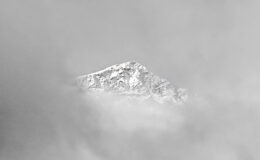 018 - wer guckt denn da